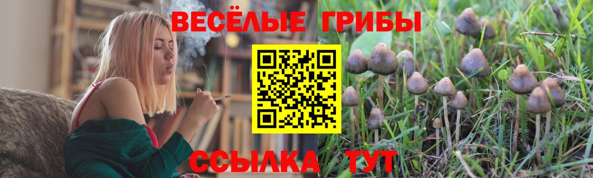 Галлюциногенные грибы прущие грибы Тольятти